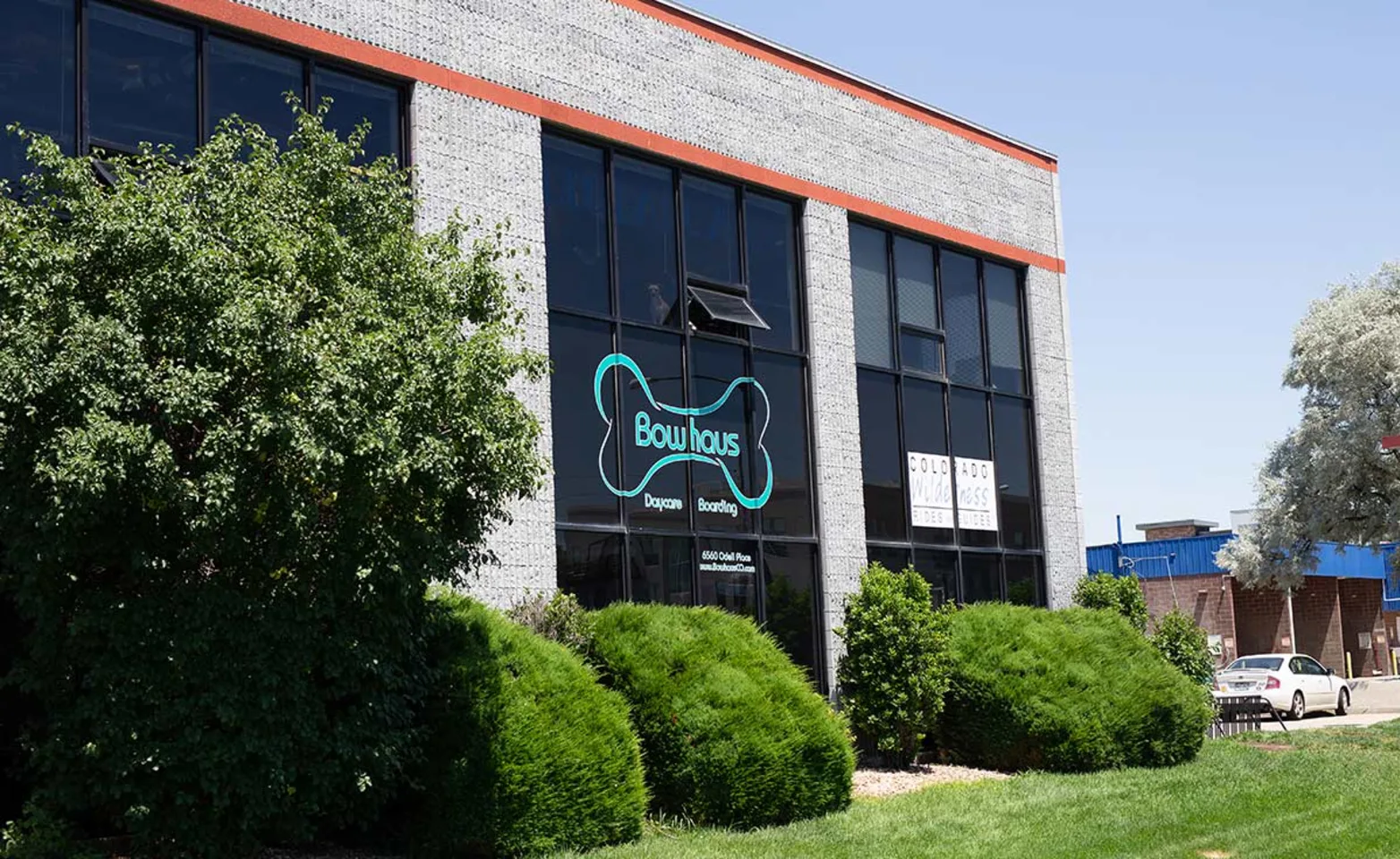 Bowhaus Boulder facility, expert dog daycare, boarding, and grooming services in Boulder, Colorado.